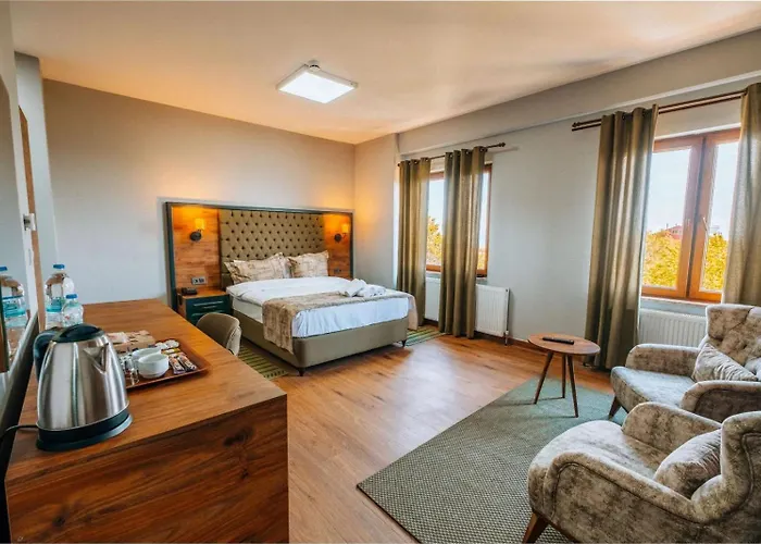 Hotel Mysia Olympos Bursa