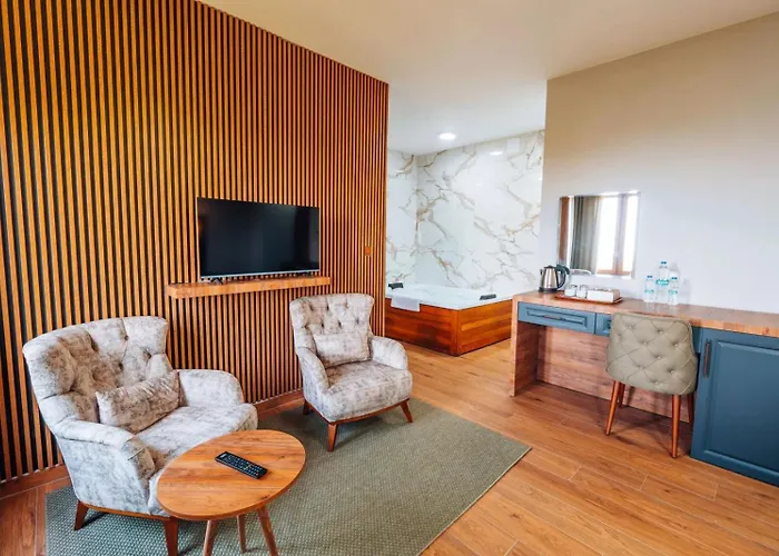 Hotel Mysia Olympos *