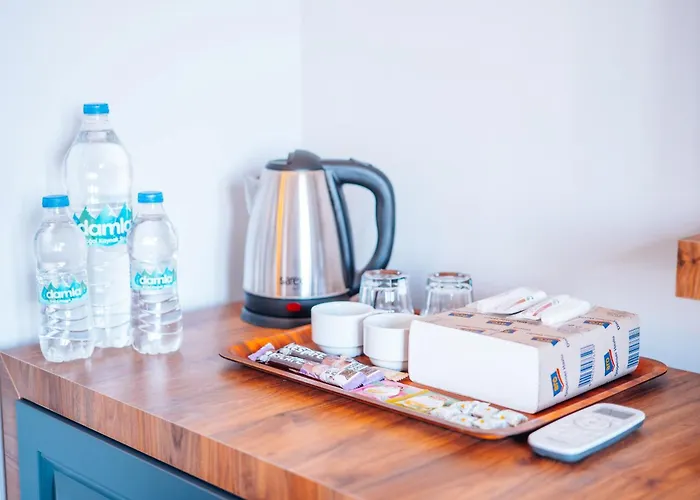 Mysia Olympos Hotel Bursa